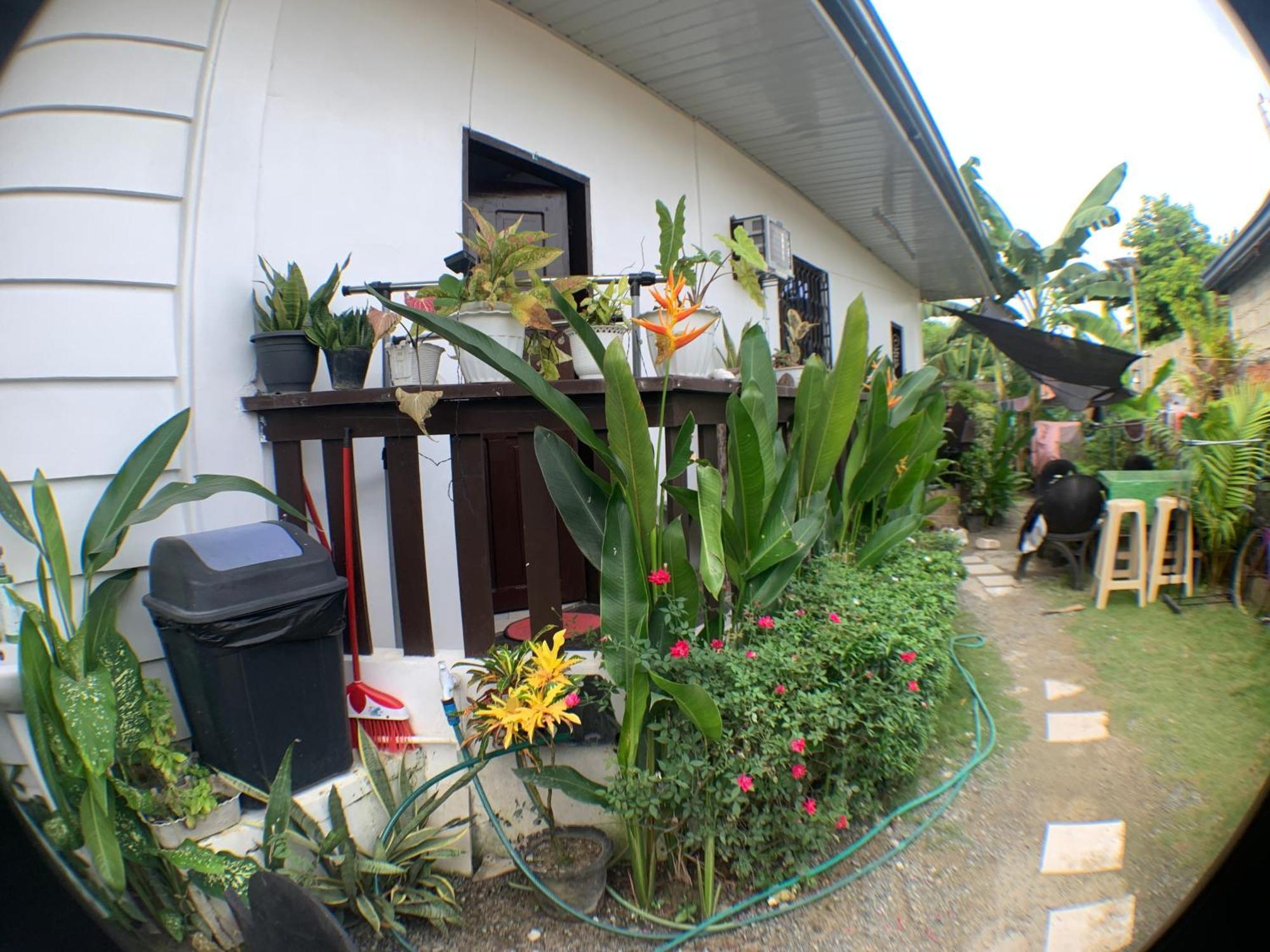 Jml Homestay General Luna  Bagian luar foto